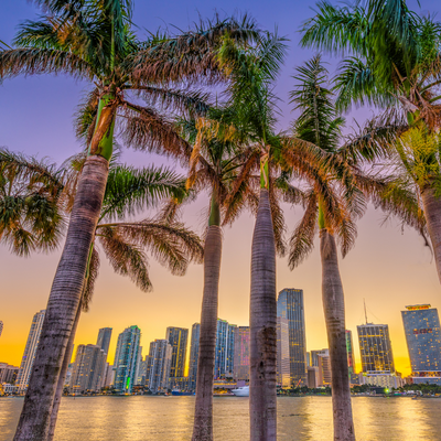 Miami, Florida: Top Attractions and City Quests